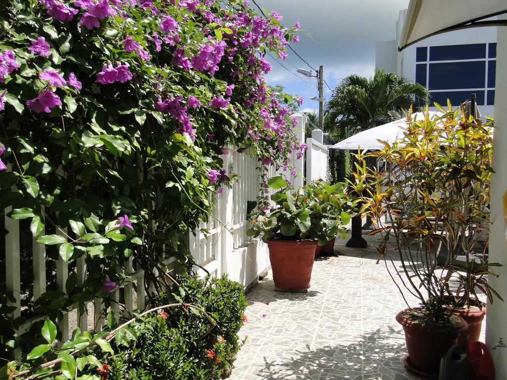 Casa Loft Hotel San Andrés Екстериор снимка